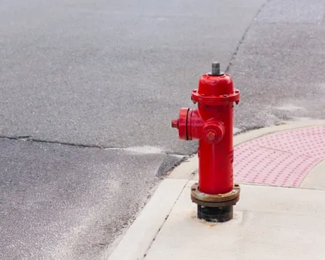 During 2009, Which celebrity Crashed a Premium Vehicle Against a Emergency Water Source?